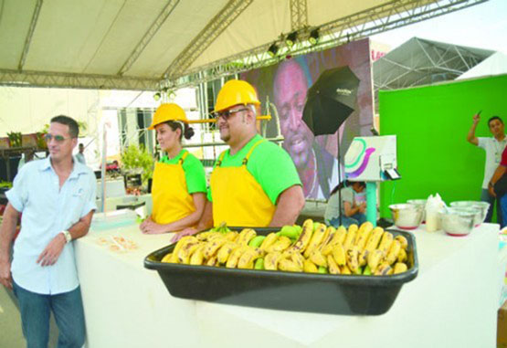 Apartadó celebra su primera Feria Agroindustrial