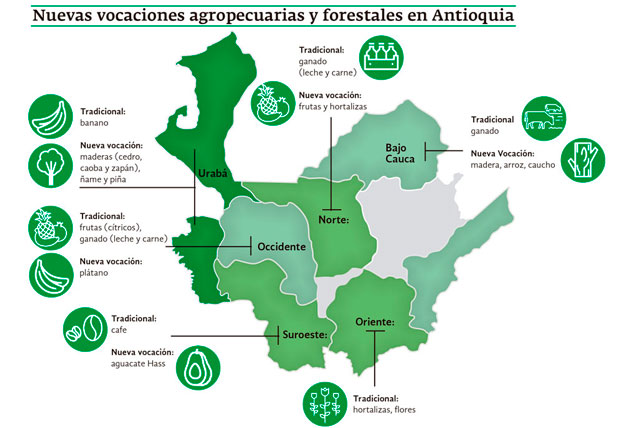 Las vocaciones agropecuarias-y-forestales-Antioquia.jpg