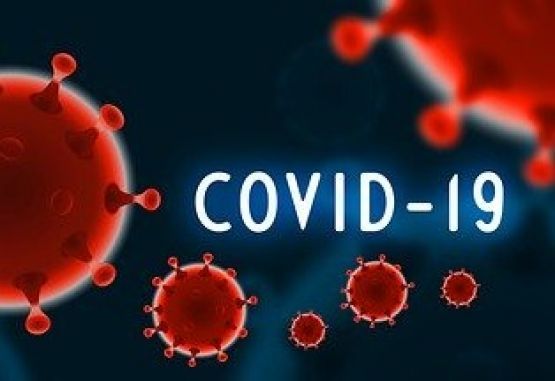 Pandemia covid-19