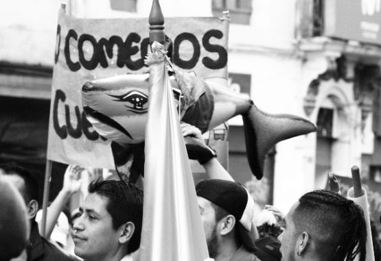 Protesta
