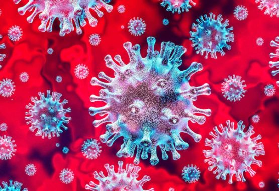 Coronavirus