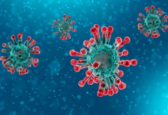 Coronavirus