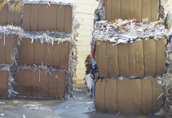 Material recuperado