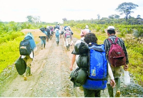 Bajo Cauca