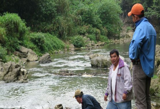 Líderes ambientales