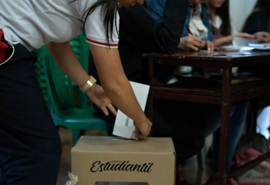 Voto estudiantil