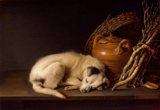 Perro durmiendo junto a un jarrón de terracota