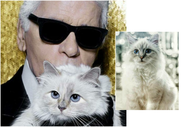 Karl Lagerfeld y su gata Karl Lagerfeld y su gata