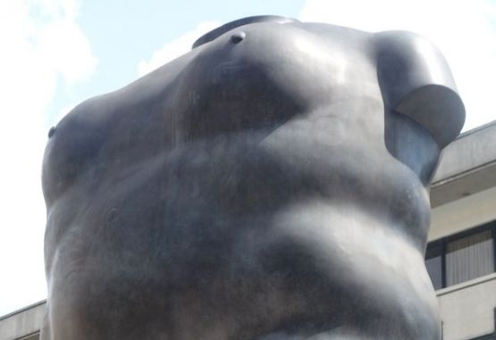 Torso de mujer desnuda