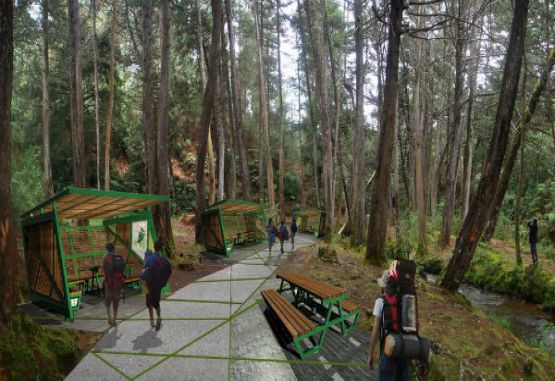 Caminos del Parque Arví