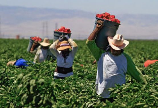 Trabajadores inmigrantes en Bakersfield, California