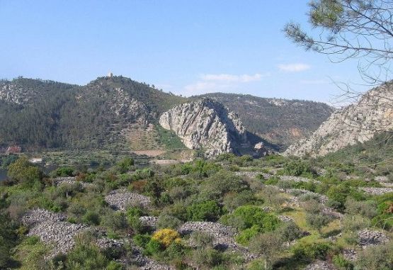 Parque Naturtejo