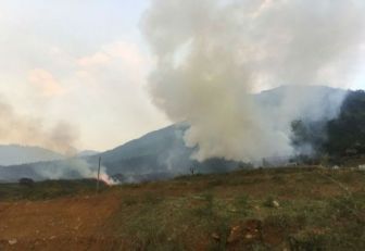 Incedio en el Cerro Quitasol