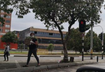 Desempleo en pandemia