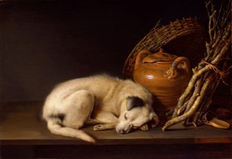 Perro durmiendo junto a un jarrón de terracota
