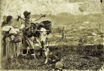 Imagen de la colonización antioqueña