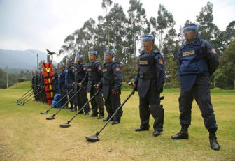 Concluyen desminado humanitario dos municipios del Meta