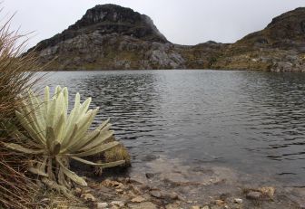 Páramos en Colombia
