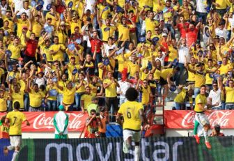 Hinchas de la Selección Colombia