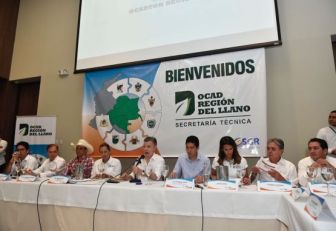 Reunión Ocad Meta