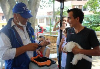 vacunación canina