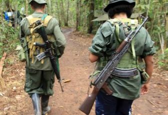 Disidentes Farc